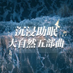 【沉浸助眠】大自然五部曲-海浪沙灘