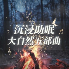 【沉浸助眠】大自然五部曲-篝火炊煙