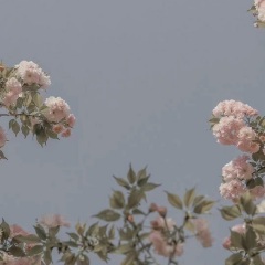 睡前钢琴曲 | 伴你轻松入眠