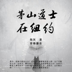 在纽约茅山道士不好惹｜都市捉妖人｜阴阳风水｜惊悚灵异｜奇门