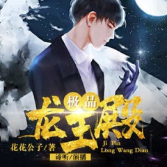 极品龙王殿｜龙王传说｜都市热血爽文｜不败战神兵王归来