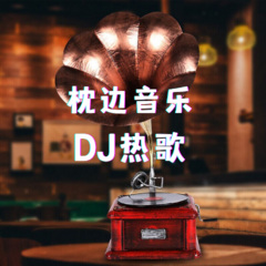 车载音乐|DJ热歌串烧