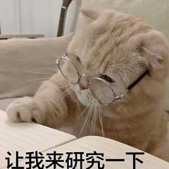 辯論賽精彩片段！