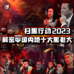 狂飙2023解密中国内地扫黑行动