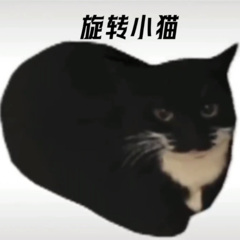 旋轉小貓