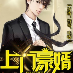 上門豪婿（精品）