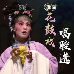 湖南花鼓戲唱腔選
