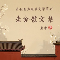 老舍散文集