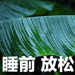 雨声催眠丨呼呼入睡