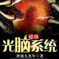 超级光脑系统