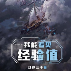 我能看见经验值