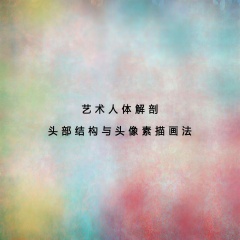 藝術(shù)人體解剖頭部結(jié)構(gòu)與頭像素描畫法