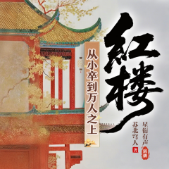红楼：从小卒到万人之上丨穿越权谋丨超高智商丨无系统丨草根崛起