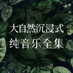 大自然沉浸式纯音乐全集|3D无损 放松催眠 瑜伽冥想必备