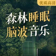 森林睡眠脑波音乐|枕着循环音乐入眠 心灵如风 重塑幸福